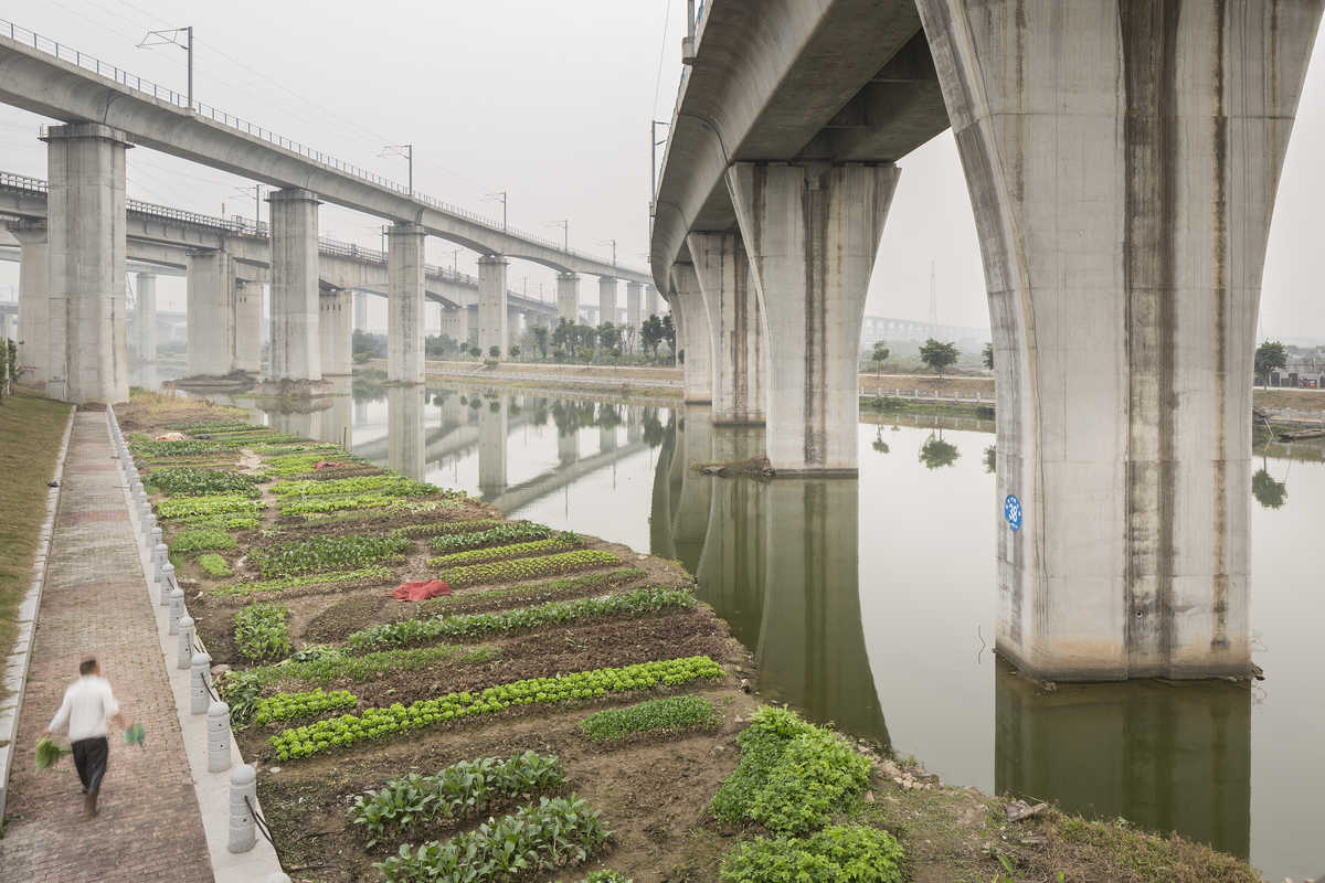 Industrial photograph of an urban farmer tending crops under high speed rail lines near the Guangzhou South Railway Station in Guangdong Province, China.