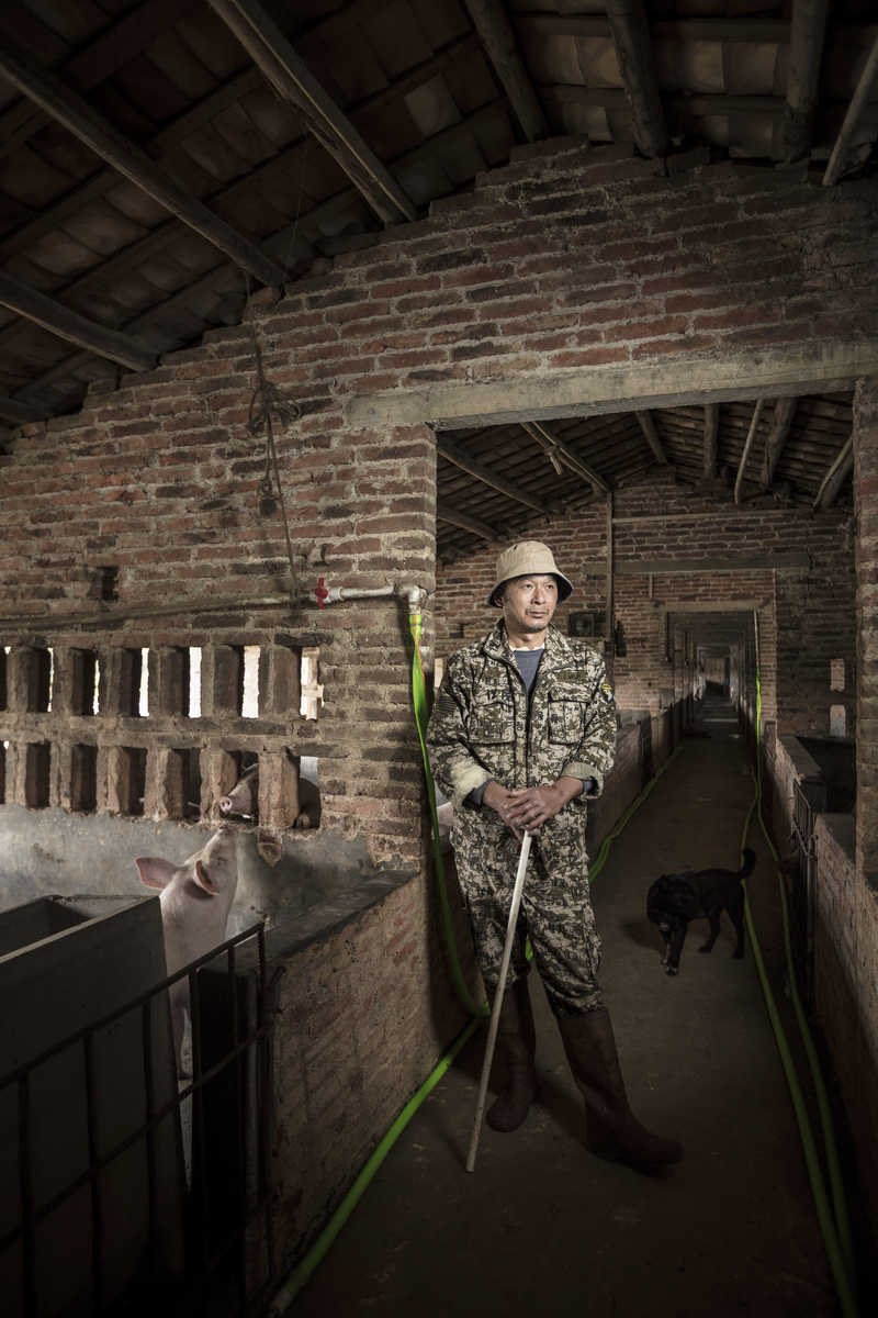 Pig farmer in Zhaoqing, China.