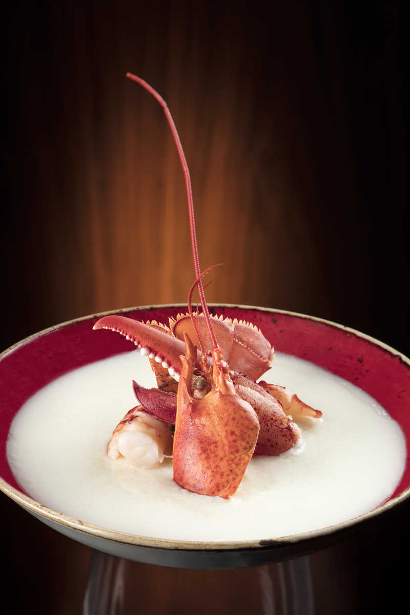 Food photograph of a lobster soup.