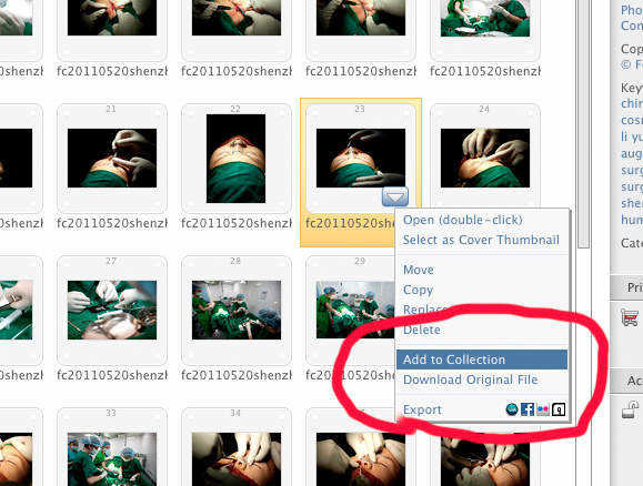 adding a photo to the featured folder in Zenfolio edit view