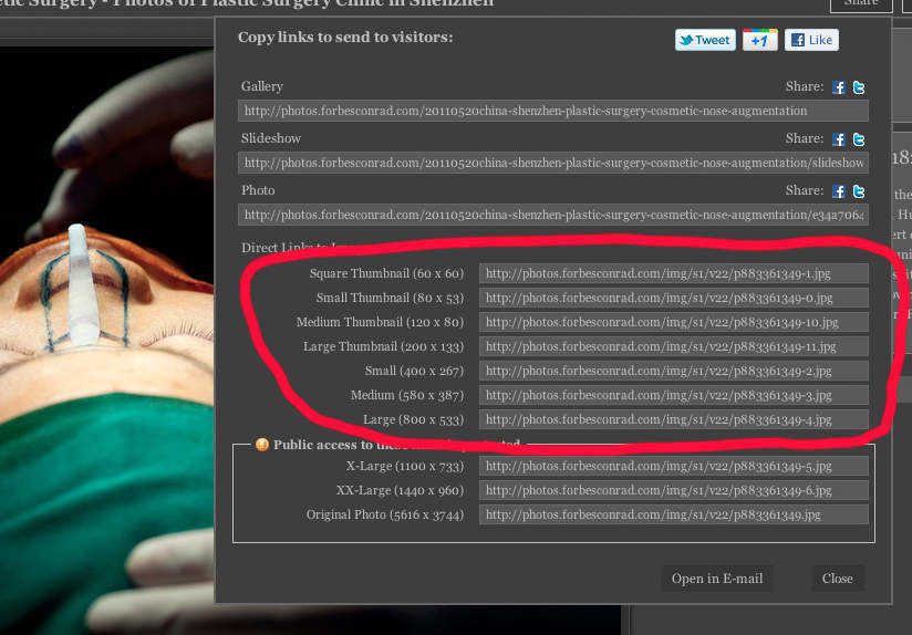 Downloading low-resolution photos from Zenfolio - step 2