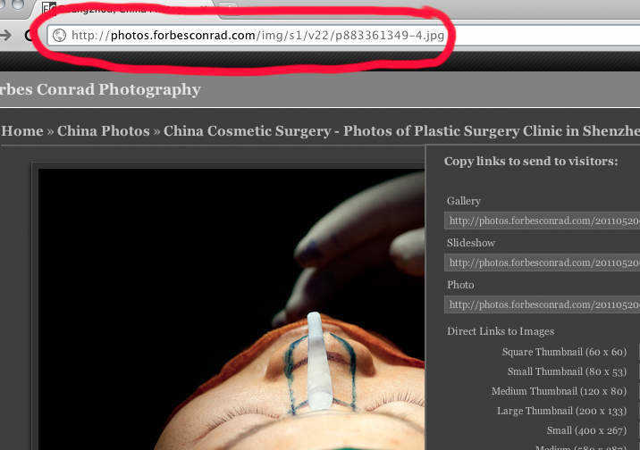 Downloading low-resolution photos from Zenfolio - step 3