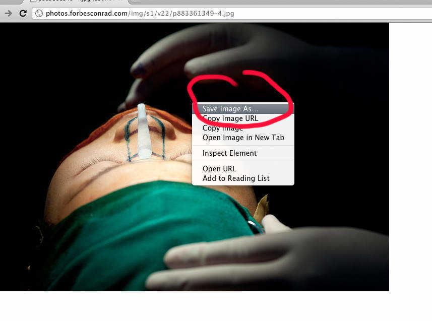 Downloading low-resolution photos from Zenfolio - step 4