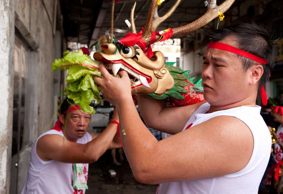 A dragon head is helped to a head of lettuce