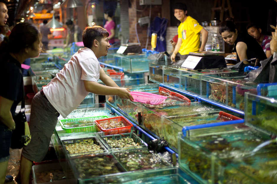 Seafood vendors at Huangsha Seafood Wholesale Market in Guangzhou, China