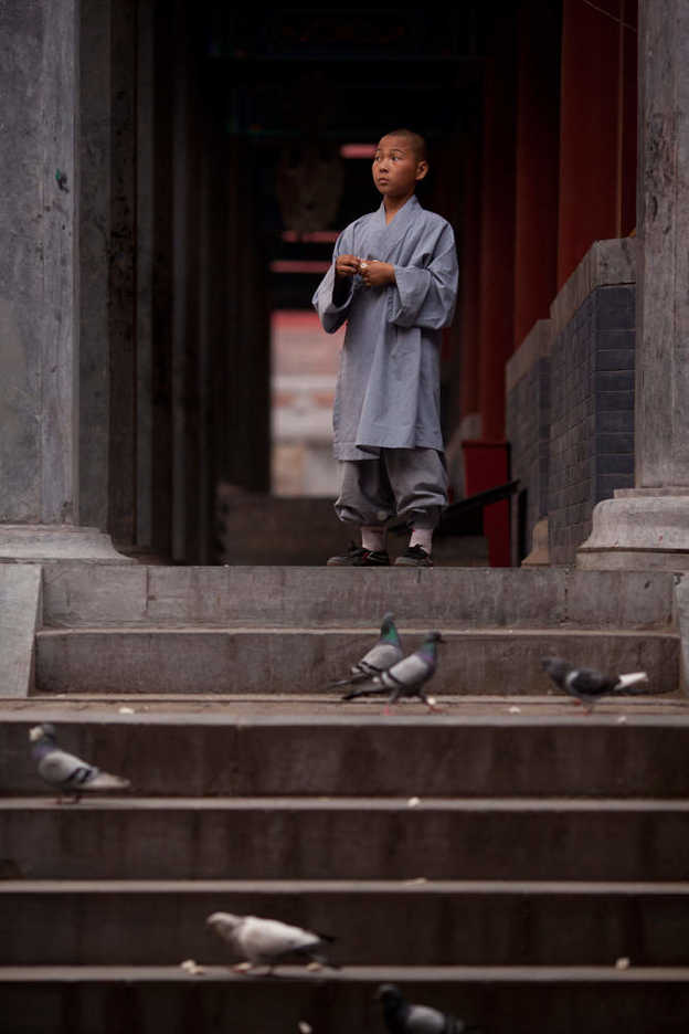 Novice monk feeding pigeons at Shaolin Si in Dengfeng, Henan province, China