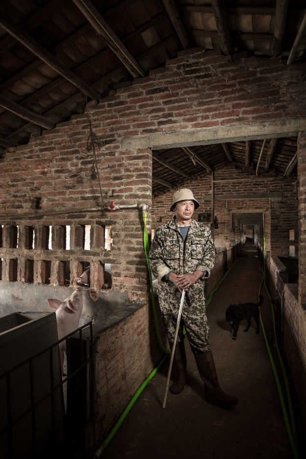 A worker at a pig farm outside Zhaoqing
