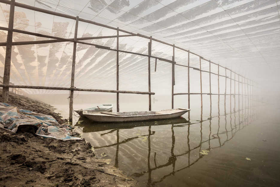 Shrimp are farmed in a rural village near Jiangmen