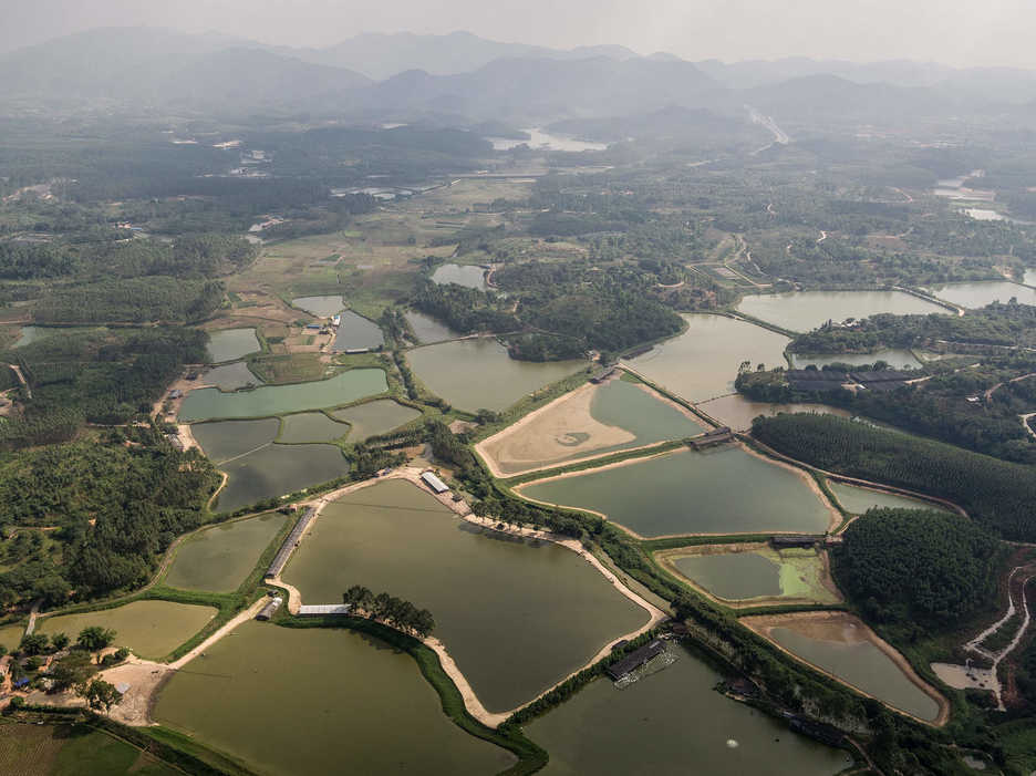 Aerial photo of aquatic farms in rural Guangdong Province, China