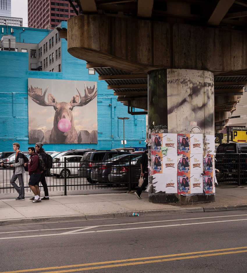 A moose image is displayed on a campus building