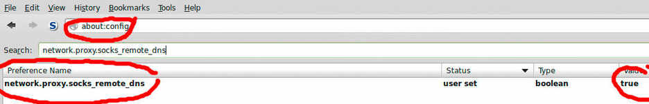 Firefox browser SOCKS DNS settings